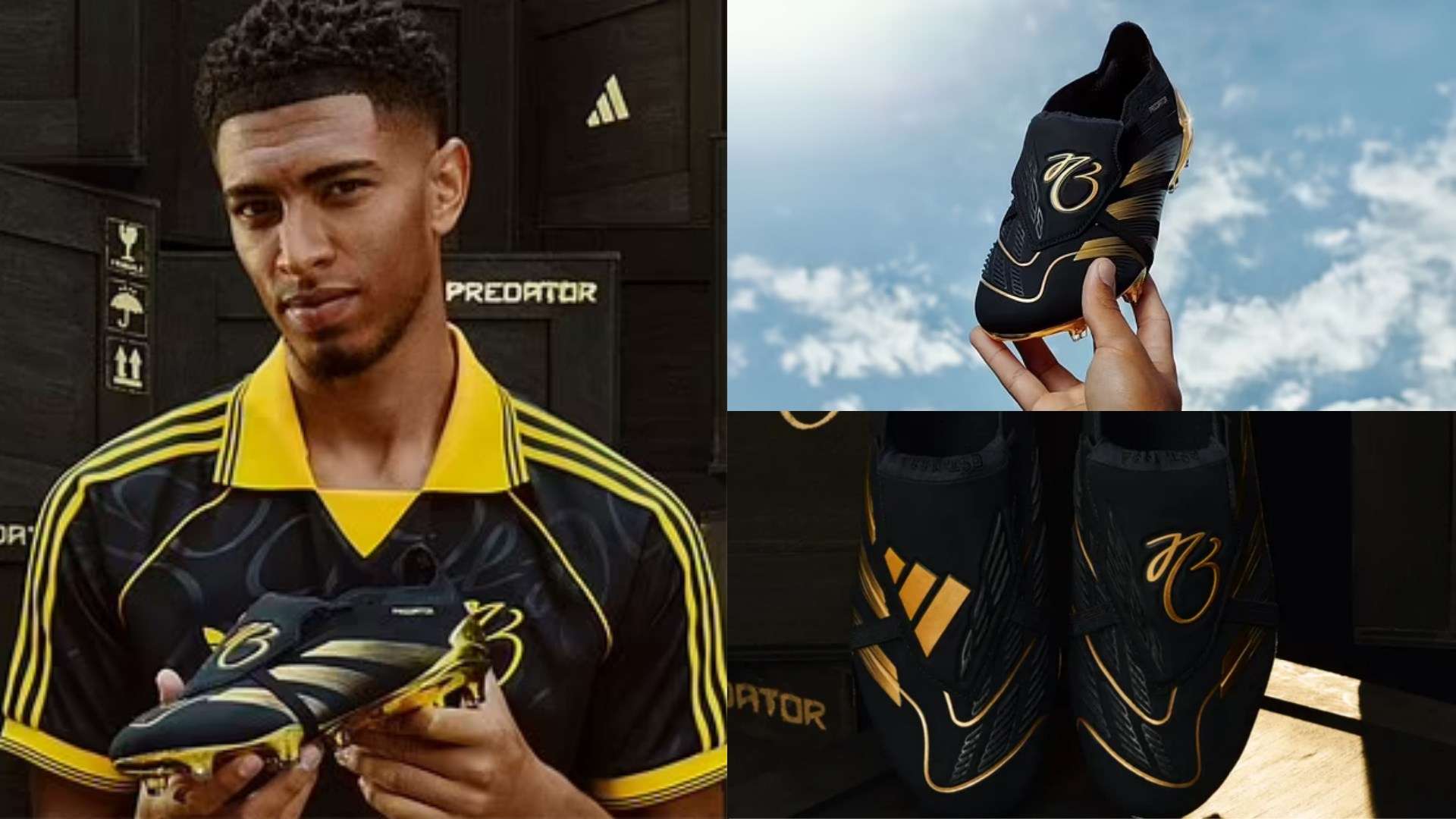 森的进攻 森的进攻